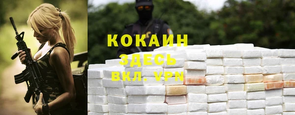 каннабис Корсаков