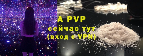 каннабис Корсаков