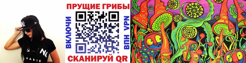 Купить закладки  Энгельс  Псилоцибиновые грибы GOLDEN TEACHER 